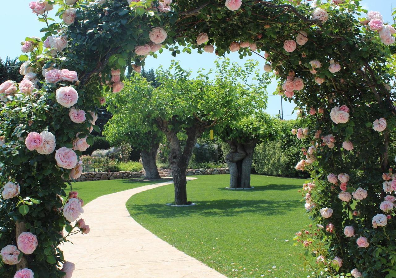 Agriturismo e Agricamping Le Nosare Valeggio sul Mincio Exterior foto