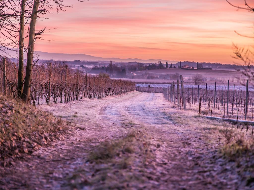 Agriturismo e Agricamping Le Nosare Valeggio sul Mincio Exterior foto