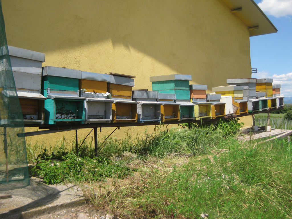 Agriturismo e Agricamping Le Nosare Valeggio sul Mincio Exterior foto
