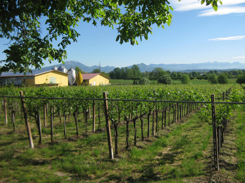 Agriturismo e Agricamping Le Nosare Valeggio sul Mincio Exterior foto
