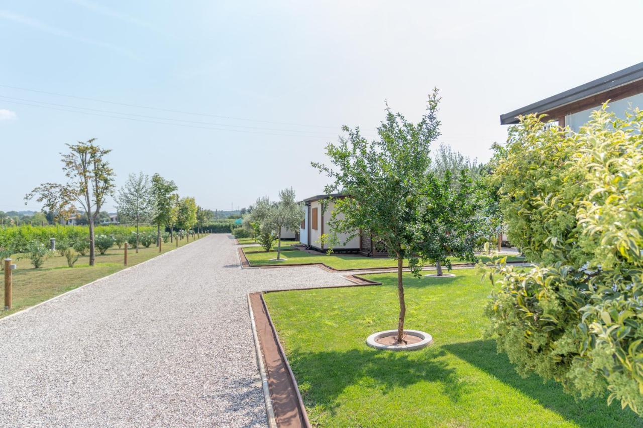 Agriturismo e Agricamping Le Nosare Valeggio sul Mincio Exterior foto